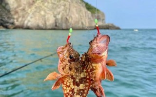 海钓全攻略？海钓经验分享