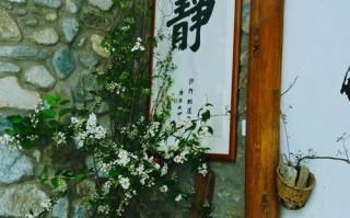宝众技能？宝众科技
