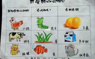 小动物技能？小动物技能大赛？