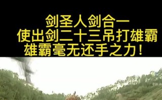 剑皇上衣选什么技能？剑皇上衣技能选取
