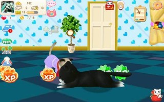 晴天小猫攻略？晴天小猫攻略大全
