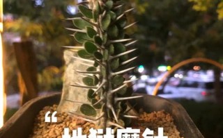 地狱密室逃亡攻略？密室逃脱逃出地狱鬼屋攻略