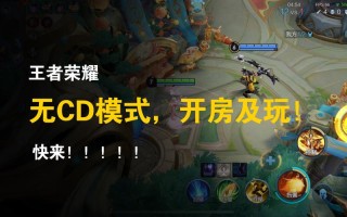 王者荣耀开指令教程？王者荣耀哪里可以开启指令？