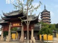 养育之恩攻略，养育之恩这个牌子怎么样