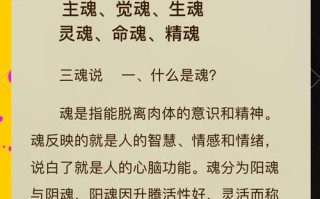 寻仙元神技能，寻仙手游元神和法术效果