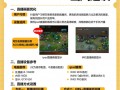 王者荣耀教程哪里看？王者荣耀在哪里看教学视频？