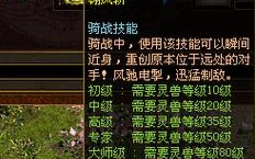 法师骑战技能？法骑战法