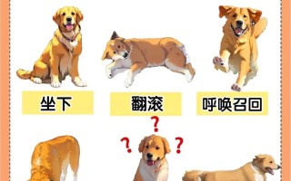 简单技能，简单技能可能比复杂技能更容易出现高原现象