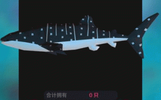 深海水族馆攻略（深海水族馆攻略图）