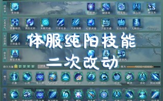 纯阳技能介绍，纯阳技能连招