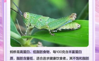 蚂蚱打野技能，s11蚂蚱打野