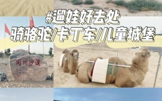 沙漠游玩攻略，沙漠游玩攻略图