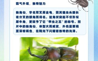 独角仙技能？独角仙的弱点在哪？