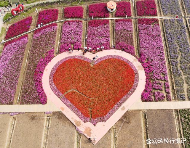 沙雅旅游攻略,沙雅旅游地图-第5张图片-93游戏 沙雅旅游攻略,沙雅旅游地图-第5张图片-93游戏