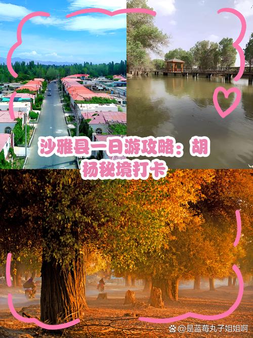 沙雅旅游攻略,沙雅旅游地图-第7张图片-93游戏 沙雅旅游攻略,沙雅旅游地图-第7张图片-93游戏