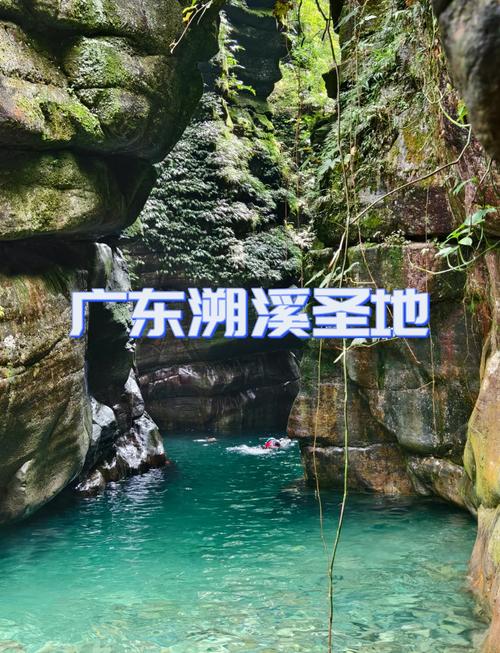 一线天攻略(一线天景区开放了吗)-第4张图片-93游戏 一线天攻略(一线天景区开放了吗)-第4张图片-93游戏