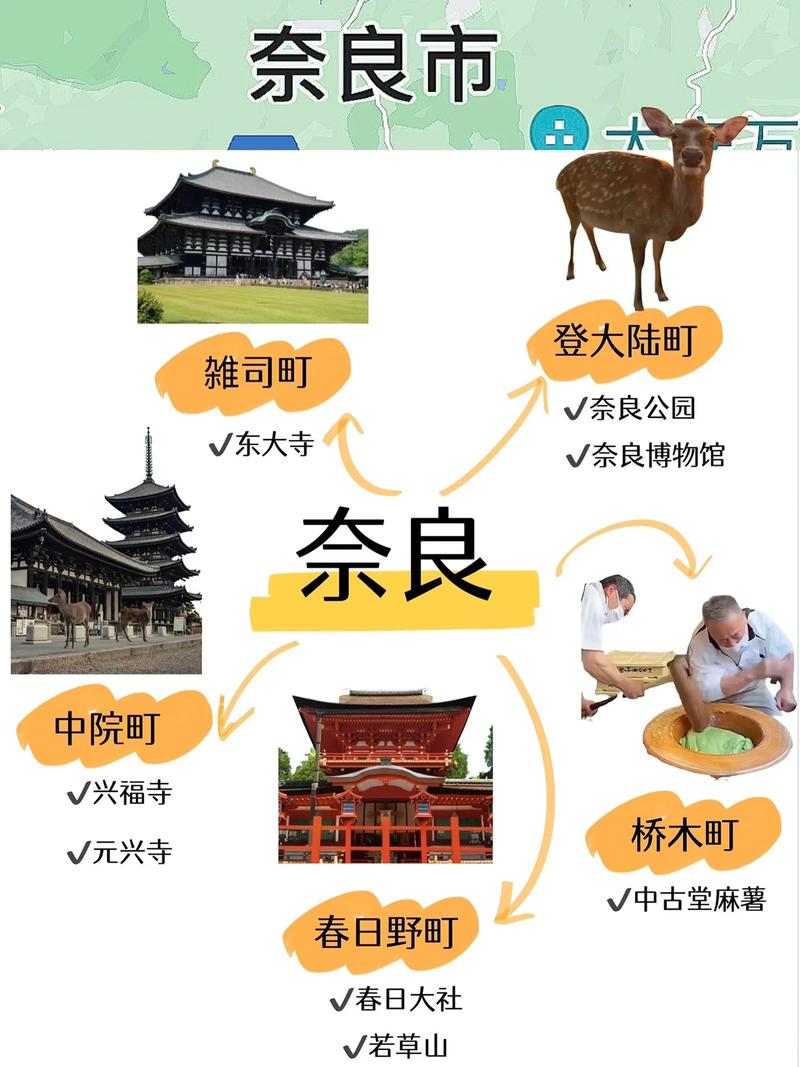 日本樱花旅游攻略 - 日本旅游 樱花-第2张图片-93游戏