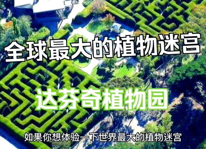 达芬奇之家攻略(达芬奇密室1全攻略图解)-第7张图片-93游戏 达芬奇之家攻略(达芬奇密室1全攻略图解)-第7张图片-93游戏