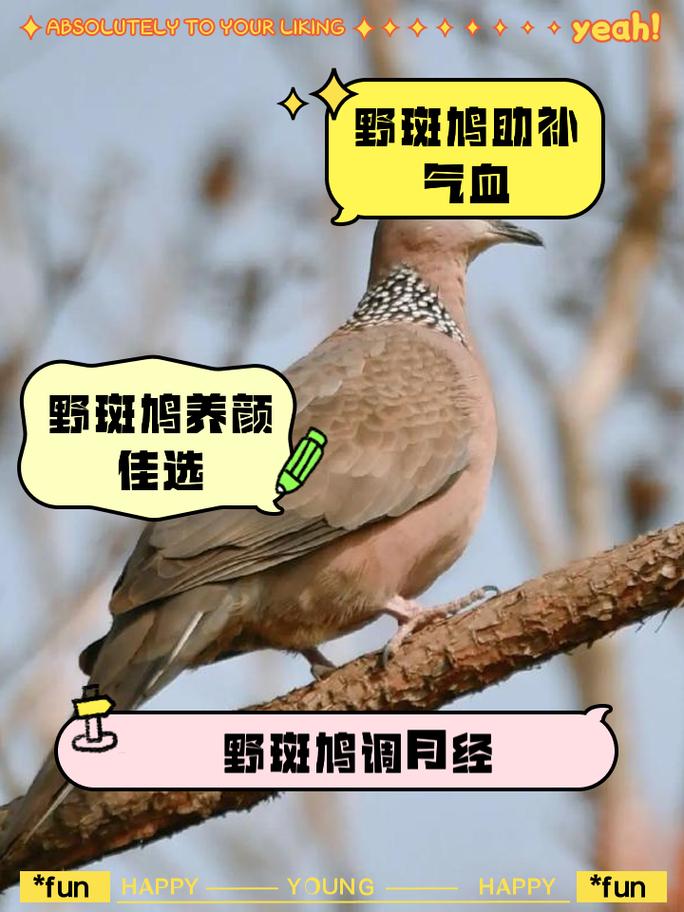 阴阳师鸠技能,阴阳师鸠值得练吗2020-第6张图片-93游戏 阴阳师鸠技能,阴阳师鸠值得练吗2020-第6张图片-93游戏
