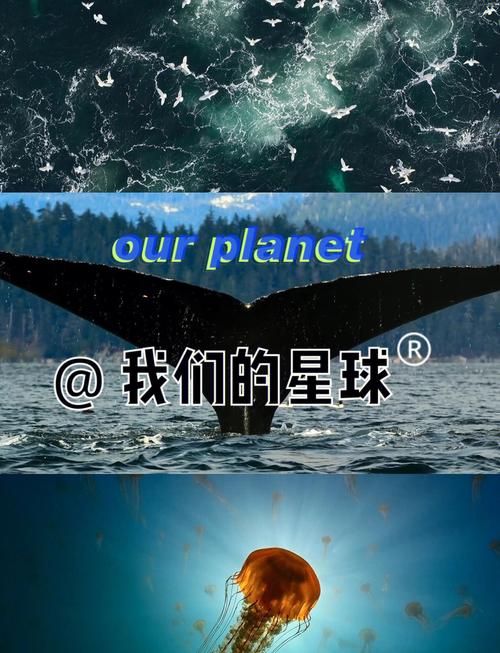 我的世界曲率引擎教学,我的世界曲线粒子-第8张图片-93游戏 我的世界曲率引擎教学,我的世界曲线粒子-第8张图片-93游戏