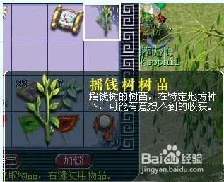 摇钱树苗攻略 - 摇钱树苗攻略2023-第1张图片-93游戏 摇钱树苗攻略 - 摇钱树苗攻略2023-第1张图片-93游戏