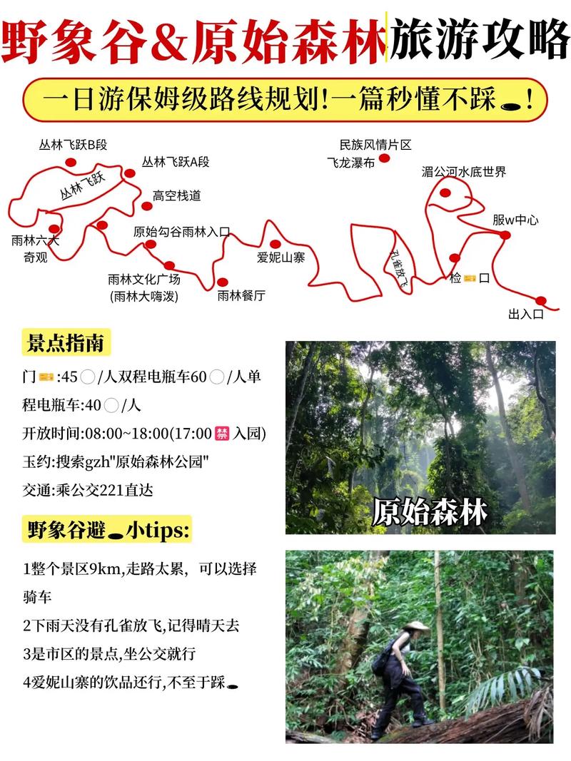 野象谷攻略 - 野象谷需要多少时间-第4张图片-93游戏 野象谷攻略 - 野象谷需要多少时间-第4张图片-93游戏