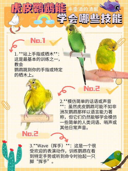 鹦鹉的技能 - 鹦鹉的技能有哪些-第1张图片-93游戏 鹦鹉的技能 - 鹦鹉的技能有哪些-第1张图片-93游戏