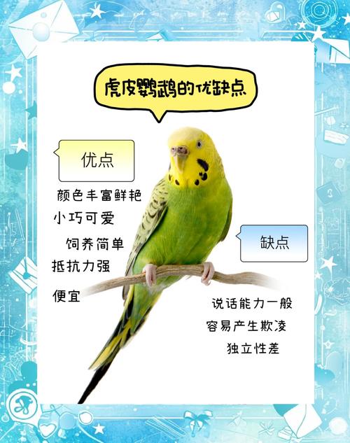 鹦鹉的技能 - 鹦鹉的技能有哪些-第2张图片-93游戏 鹦鹉的技能 - 鹦鹉的技能有哪些-第2张图片-93游戏
