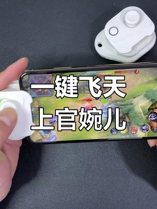 飞燕回翔技能?飞燕回廊?-第2张图片-93游戏 飞燕回翔技能?飞燕回廊?-第2张图片-93游戏