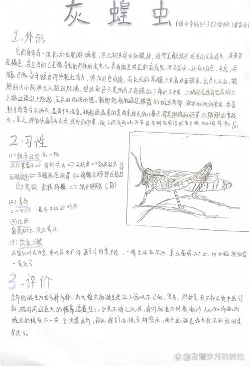 蝗虫技能?蝗虫战法?-第4张图片-93游戏 蝗虫技能?蝗虫战法?-第4张图片-93游戏