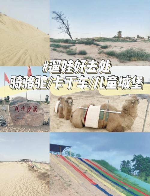 沙漠游玩攻略,沙漠游玩攻略图-第1张图片-93游戏 沙漠游玩攻略,沙漠游玩攻略图-第1张图片-93游戏