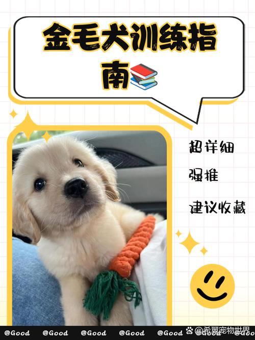 训练金毛技能?金毛训练的正确方法,你知道吗?-第2张图片-93游戏 训练金毛技能?金毛训练的正确方法,你知道吗?-第2张图片-93游戏
