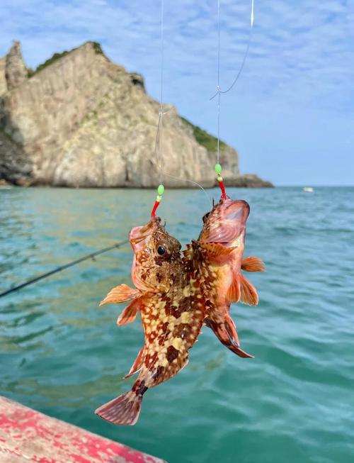 海钓全攻略？海钓经验分享-第7张图片-93游戏