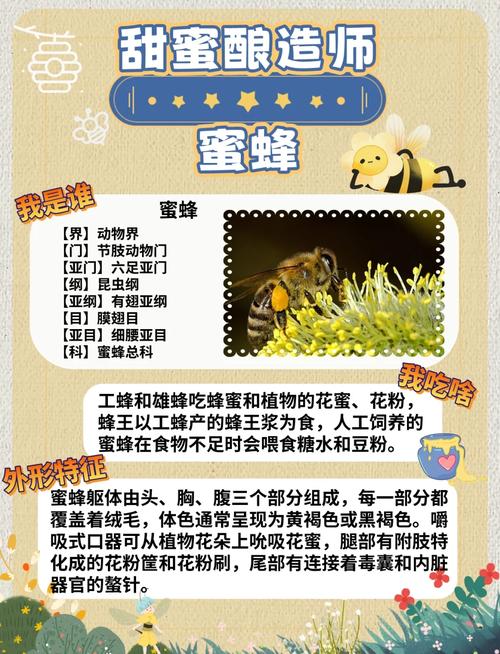 蜜蜂的技能,蜜蜂技能简单50字-第4张图片-93游戏 蜜蜂的技能,蜜蜂技能简单50字-第4张图片-93游戏