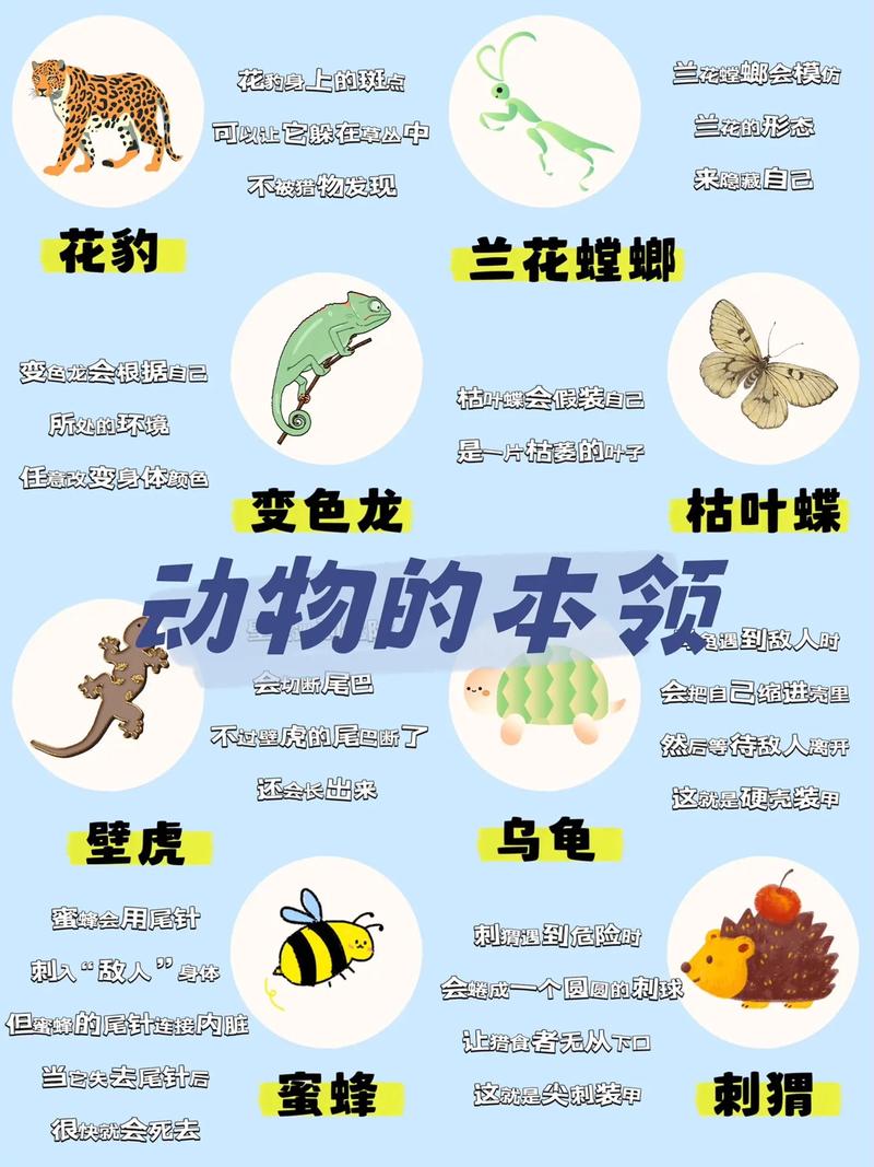 蜜蜂的技能,蜜蜂技能简单50字-第5张图片-93游戏 蜜蜂的技能,蜜蜂技能简单50字-第5张图片-93游戏