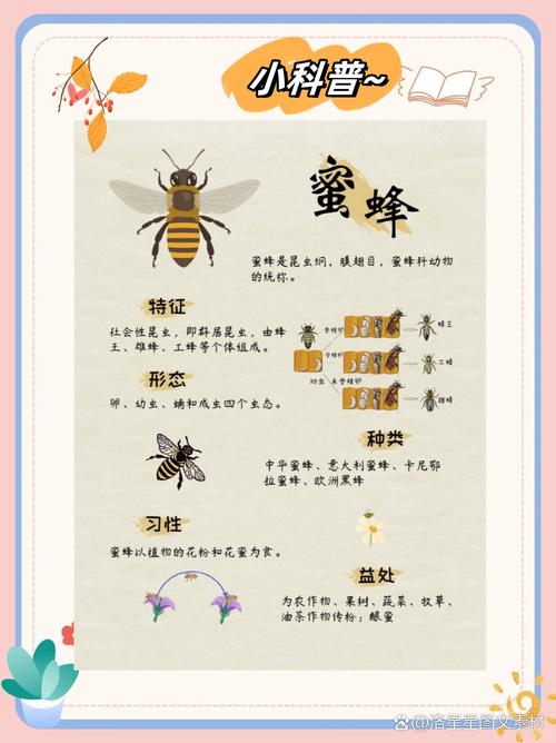 蜜蜂的技能,蜜蜂技能简单50字-第6张图片-93游戏 蜜蜂的技能,蜜蜂技能简单50字-第6张图片-93游戏