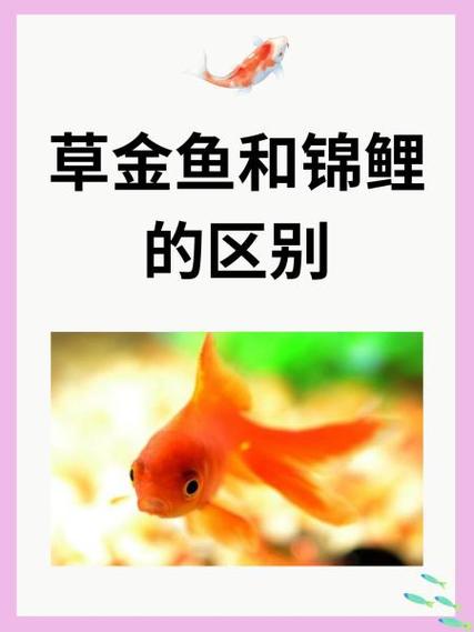 王者荣耀枷锁教程?王者荣耀枷锁叫什么名字?-第5张图片-93游戏 王者荣耀枷锁教程?王者荣耀枷锁叫什么名字?-第5张图片-93游戏