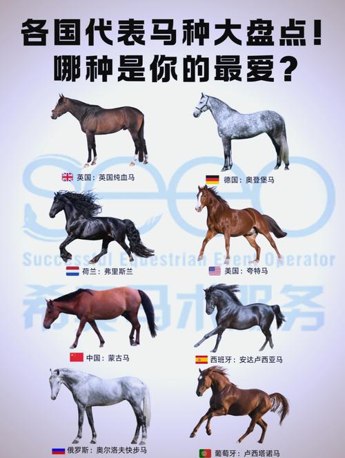 顶级跑马技能?顶级跑马场最强马?-第6张图片-93游戏 顶级跑马技能?顶级跑马场最强马?-第6张图片-93游戏