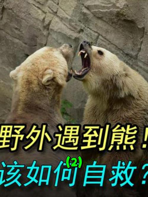 部落求生攻略?部落求生我,打造最强种族?-第6张图片-93游戏 部落求生攻略?部落求生我,打造最强种族?-第6张图片-93游戏
