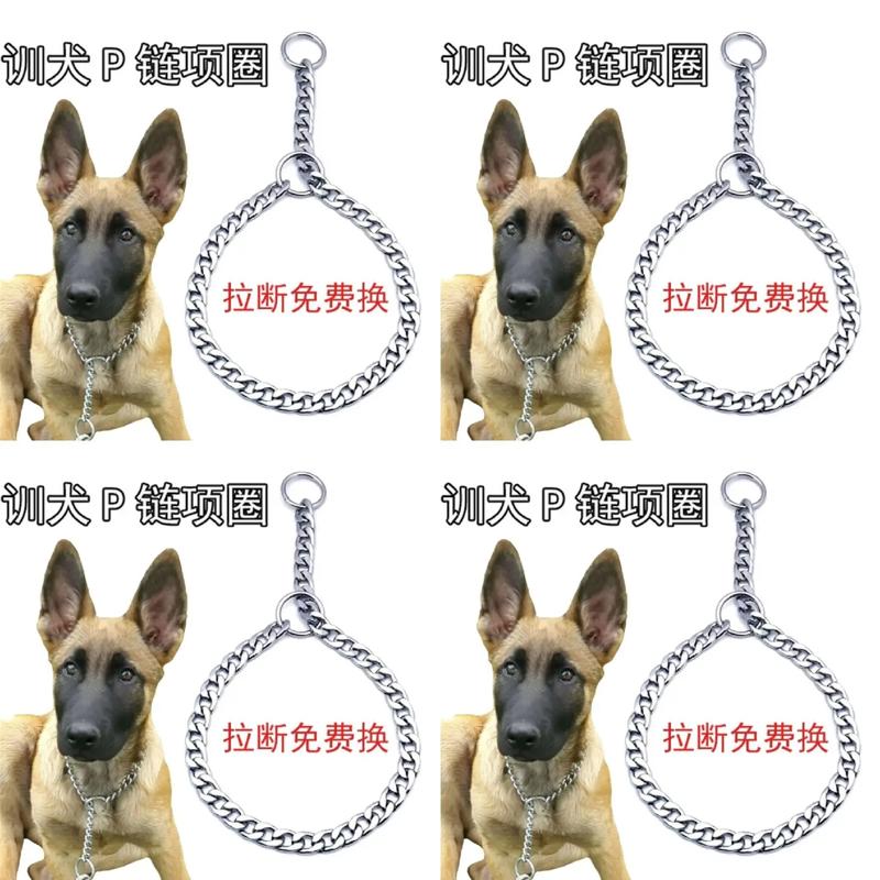 长毛狗技能?长毛狗技能推荐-第6张图片-93游戏 长毛狗技能?长毛狗技能推荐-第6张图片-93游戏