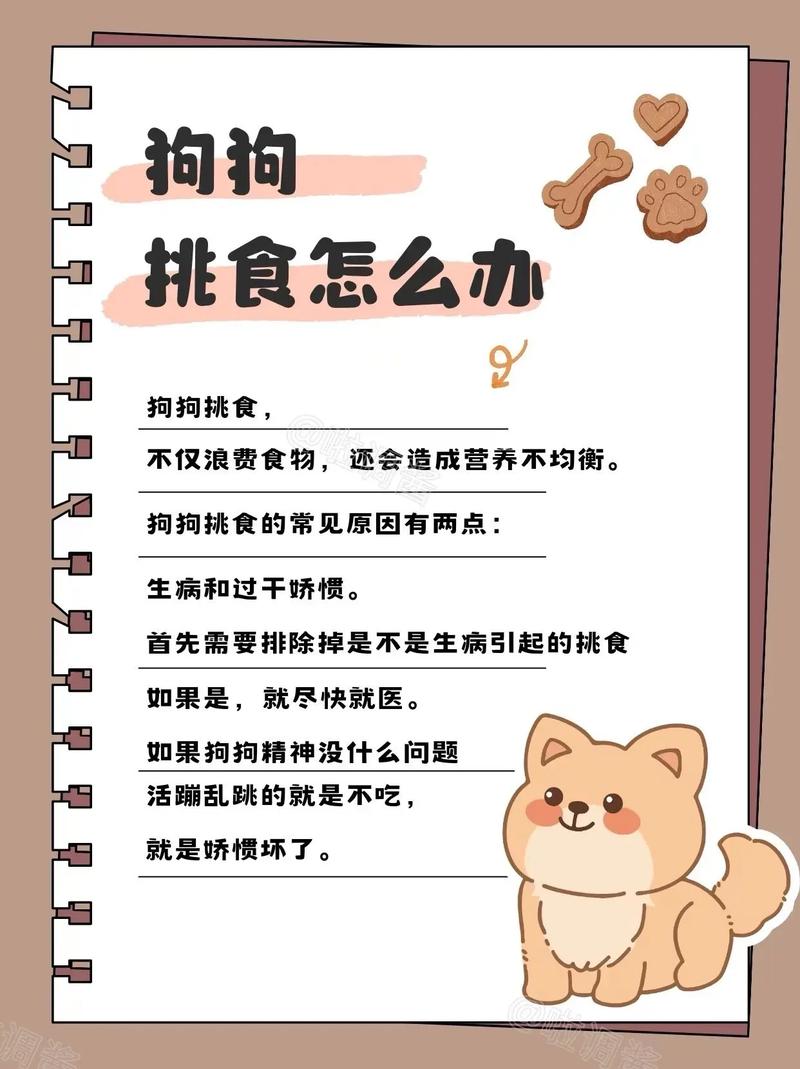 断绝狗攻略?断绝游戏攻略?-第1张图片-93游戏 断绝狗攻略?断绝游戏攻略?-第1张图片-93游戏