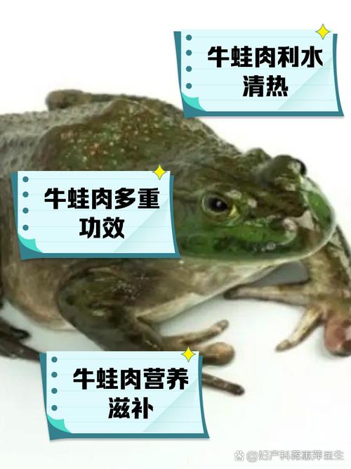 牛蛙技能?牛蛙克星?-第1张图片-93游戏 牛蛙技能?牛蛙克星?-第1张图片-93游戏