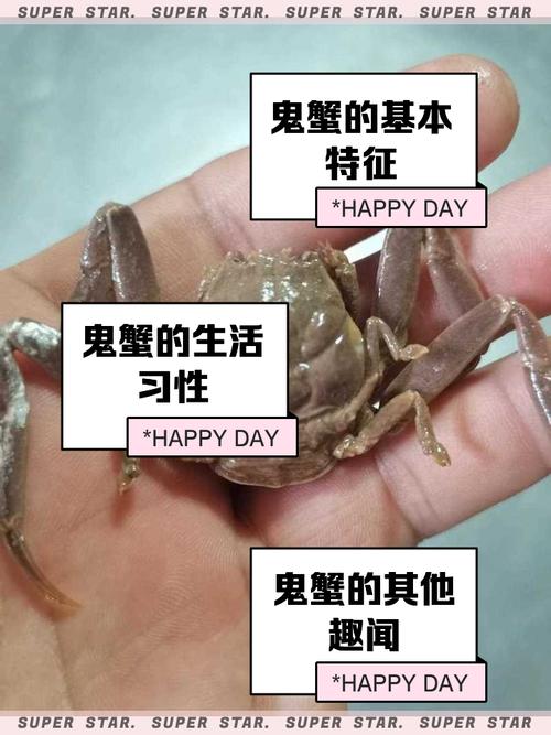 鬼脚蟹的技能?wow鬼脚蟹多久刷新-第2张图片-93游戏 鬼脚蟹的技能?wow鬼脚蟹多久刷新-第2张图片-93游戏