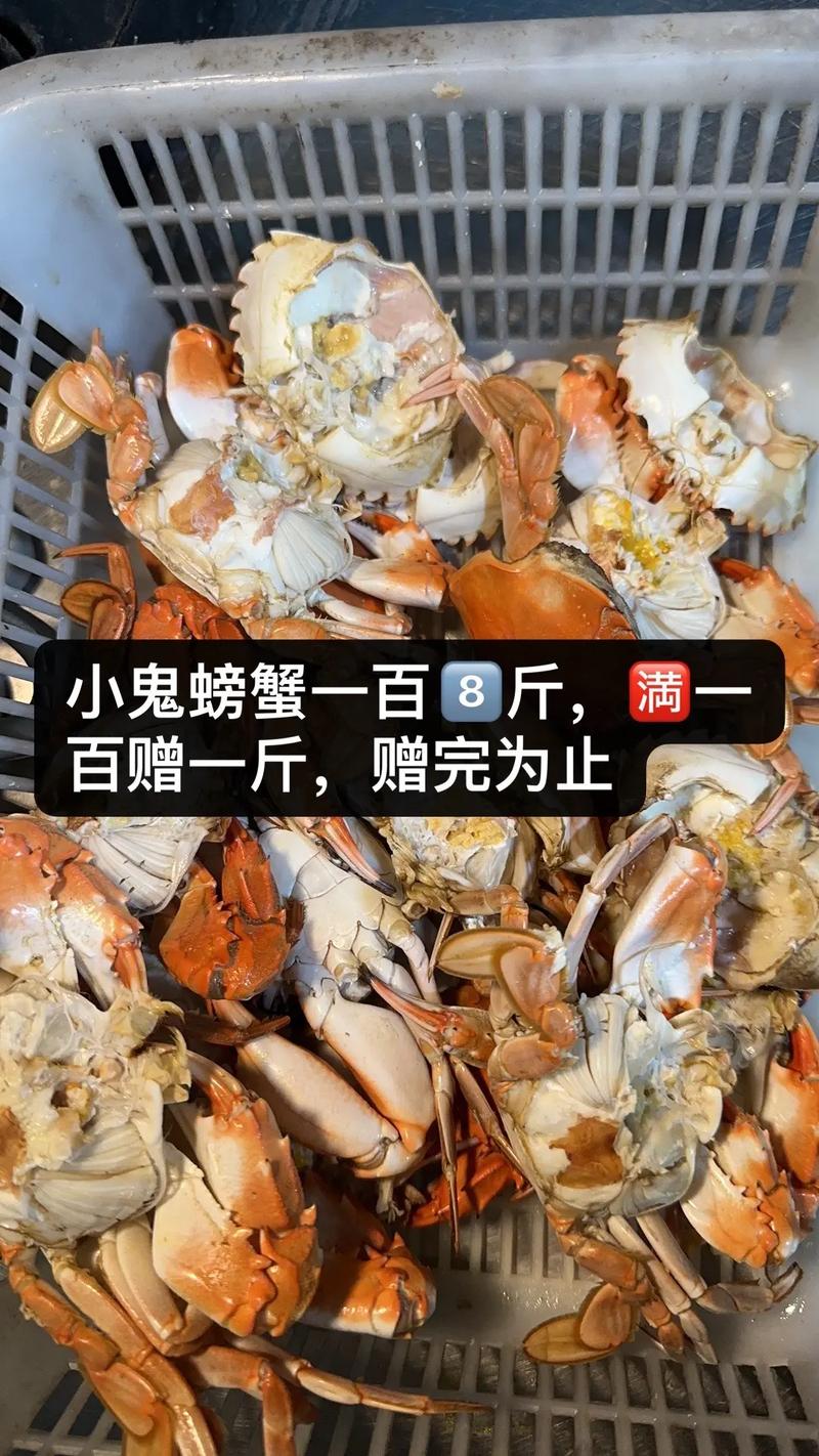 鬼脚蟹的技能?wow鬼脚蟹多久刷新-第3张图片-93游戏 鬼脚蟹的技能?wow鬼脚蟹多久刷新-第3张图片-93游戏