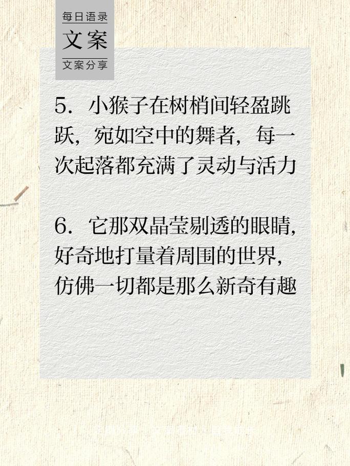 小猴子技能,小猴子技能97-第5张图片-93游戏 小猴子技能,小猴子技能97-第5张图片-93游戏