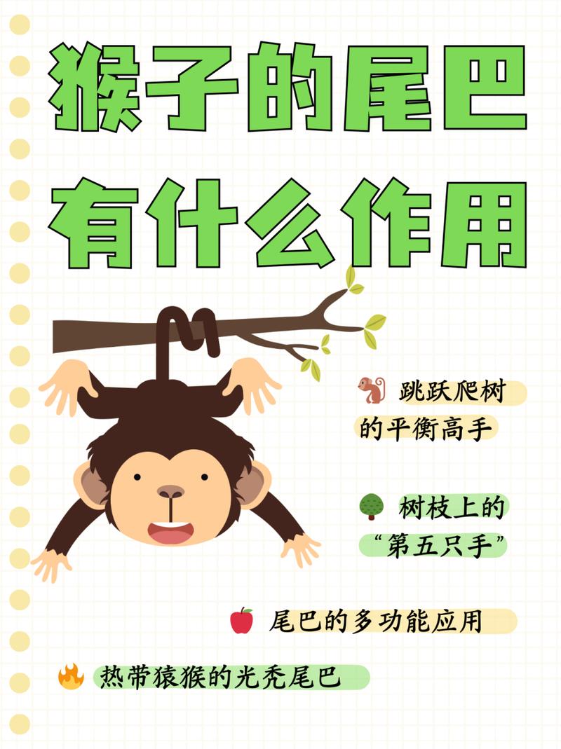 小猴子技能,小猴子技能97-第6张图片-93游戏 小猴子技能,小猴子技能97-第6张图片-93游戏