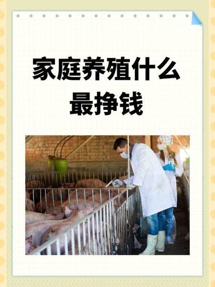 2017年赚钱攻略?赚钱攻略大全?-第2张图片-93游戏 2017年赚钱攻略?赚钱攻略大全?-第2张图片-93游戏