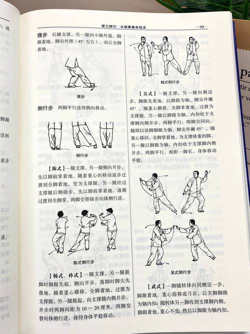 拳师点穴技能?拳师指什么-第8张图片-93游戏 拳师点穴技能?拳师指什么-第8张图片-93游戏