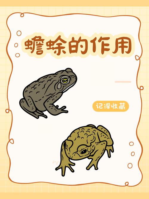 轮唱技能?轮唱技能介绍-第4张图片-93游戏 轮唱技能?轮唱技能介绍-第4张图片-93游戏