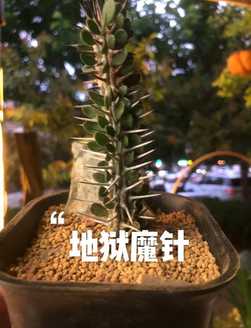 地狱密室逃亡攻略?密室逃脱逃出地狱鬼屋攻略-第1张图片-93游戏 地狱密室逃亡攻略?密室逃脱逃出地狱鬼屋攻略-第1张图片-93游戏